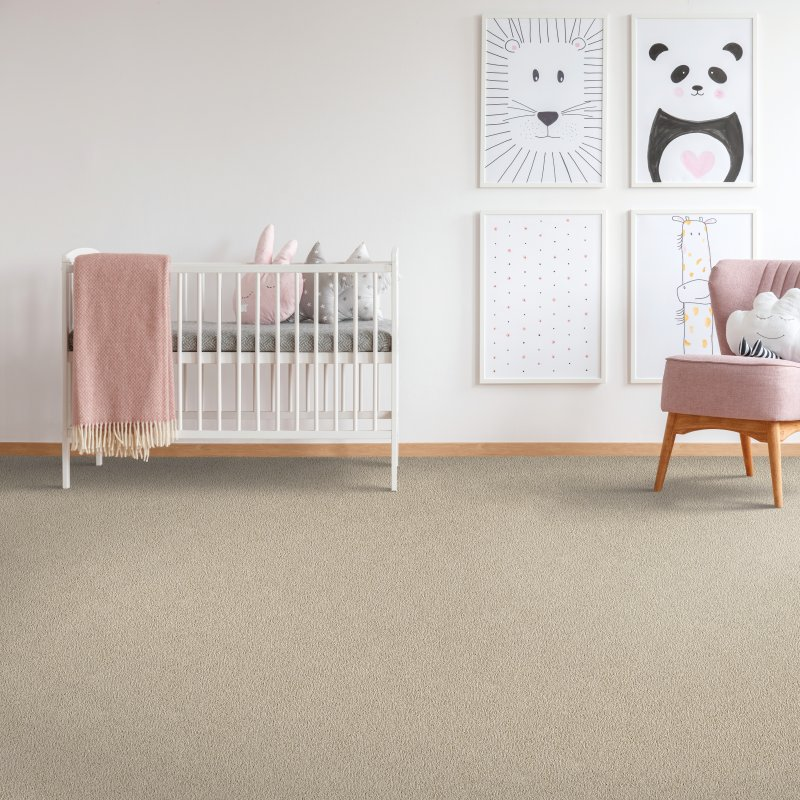 K & K Floors, Inc. providing stain-resistant pet proof carpet in Platteville, WI - Sp Enchanting Glam - Cayman Island